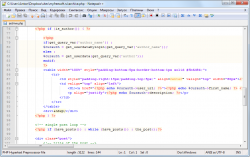Главное окно Notepad++