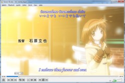 Внешний вид проигрывателя VLC Media Player 2.0