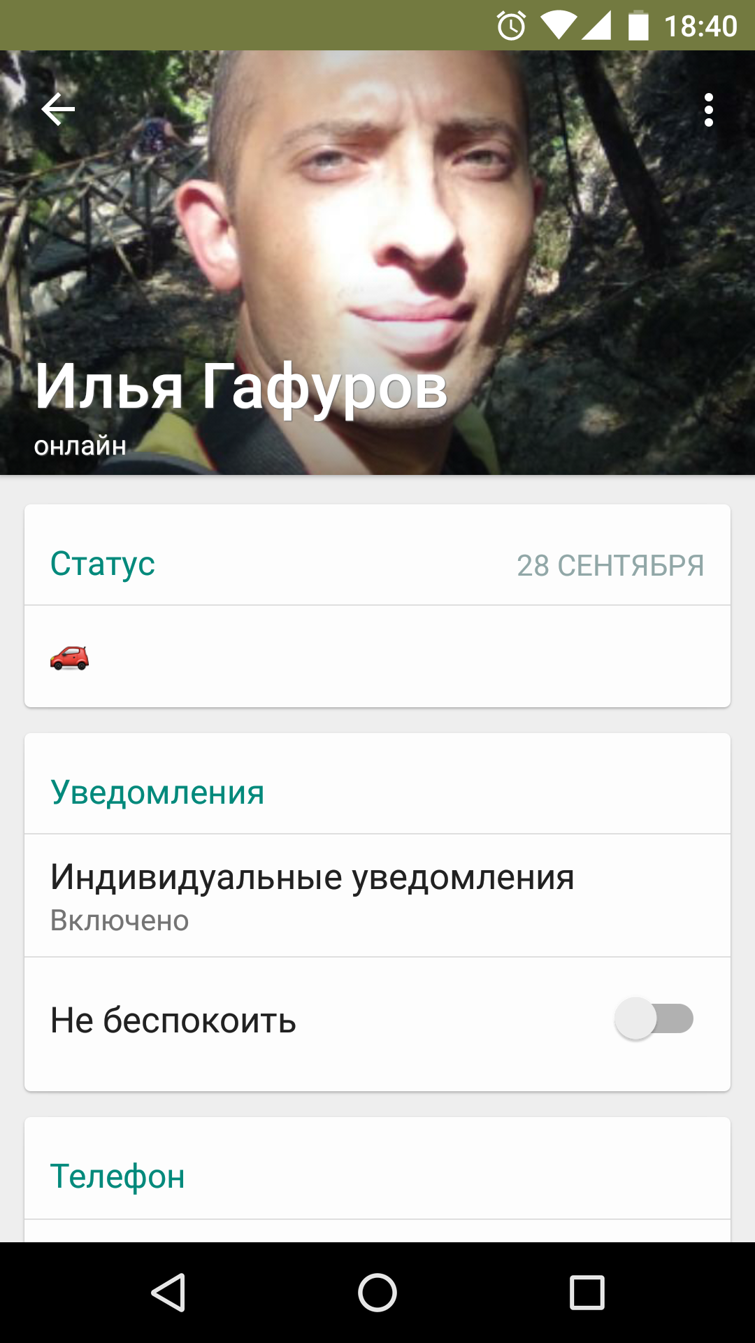 Показывать миниатюры в whatsapp что это