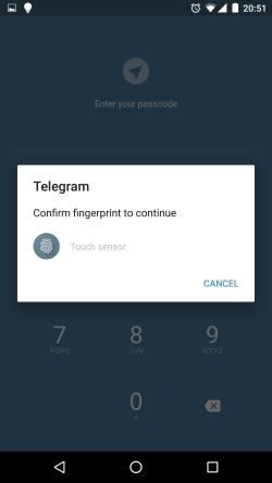 Вход в Telegram по отпечатку пальца