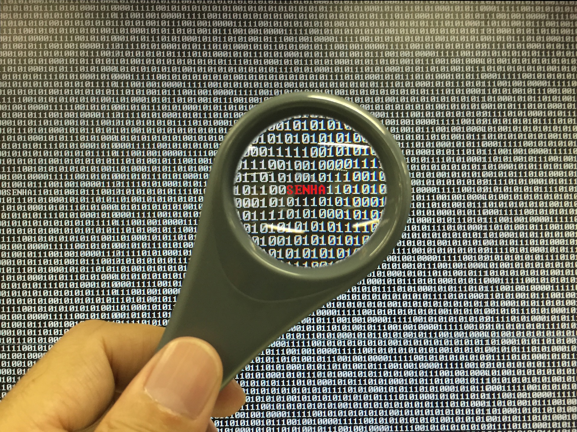 Где браузер скрывает ваши пароли к сайтам