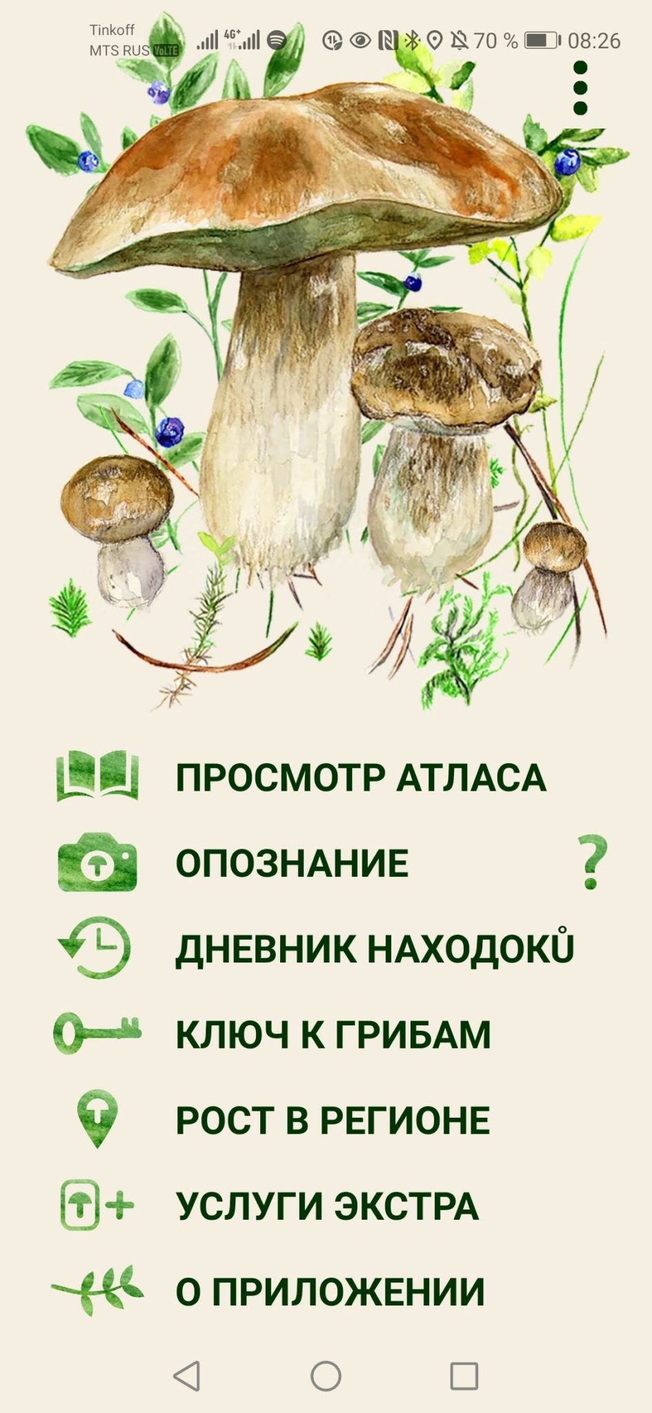 Справочник грибов с фотографиями