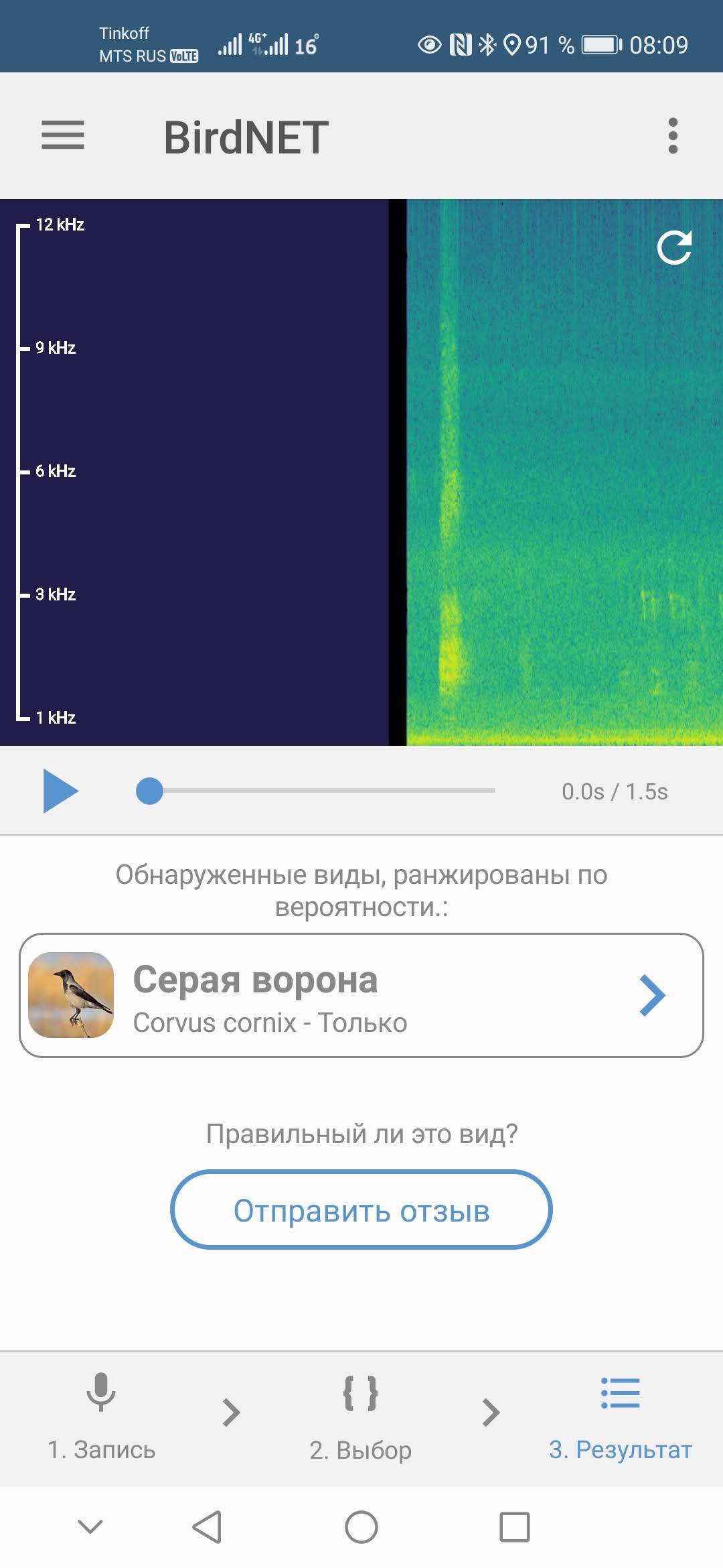 Узнать птицу по голосу приложение. Приложения для распознавания птиц. Как узнать птицу по пению приложение.